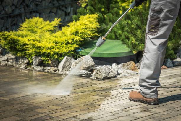 Animal Enclosure Cleaning in Pauls Valley, OK